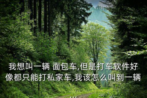 我想叫一辆 面包车,但是打车软件好像都只能打私家车,我该怎么叫到一辆...