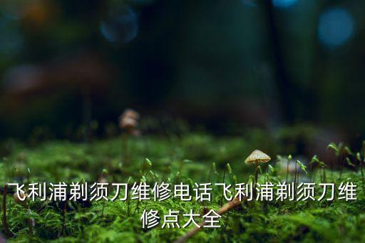 飞利浦剃须刀维修电话飞利浦剃须刀维修点大全