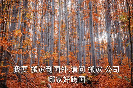 我要 搬家到国外,请问 搬家 公司哪家好跨国