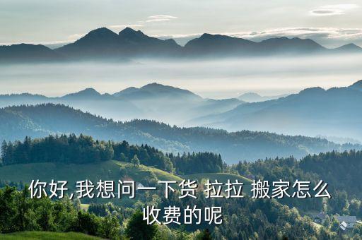 你好,我想问一下货 拉拉 搬家怎么 收费的呢
