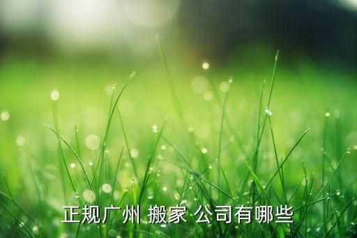 正规广州 搬家 公司有哪些
