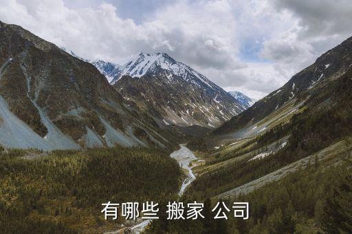 有哪些 搬家 公司