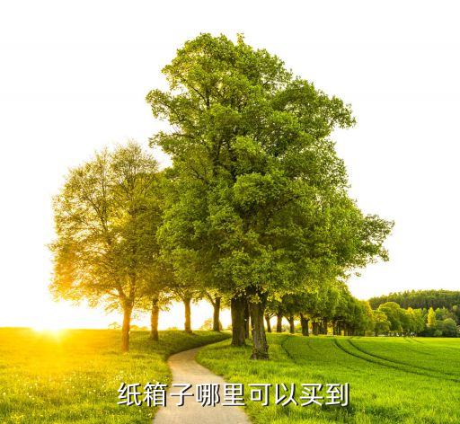 搬家的纸箱一般什么地方卖,新密市什么地方卖纸箱