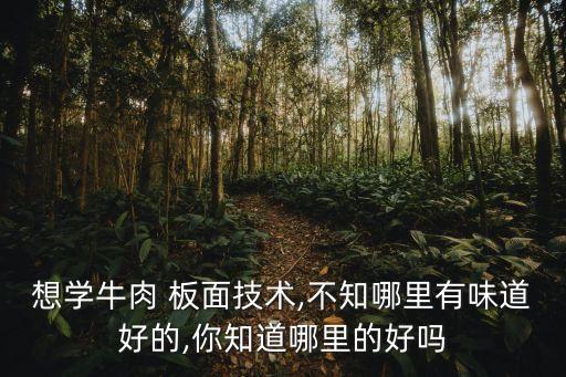 学板面到什么地方最好,正宗板面培训去哪学