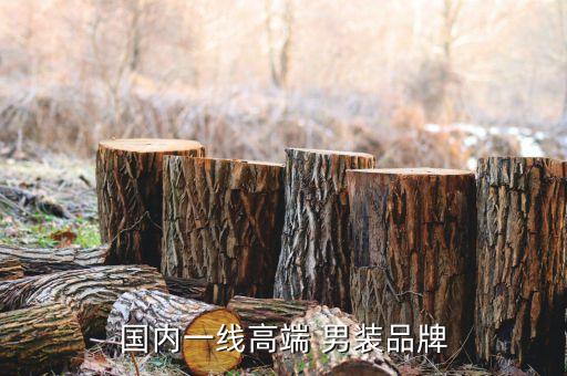 国内一线高端 男装品牌