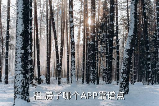 找房租房子哪个平台,无中介租房app排行