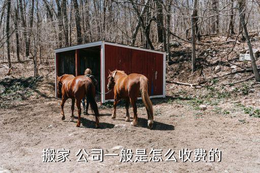  搬家 公司一般是怎么收费的