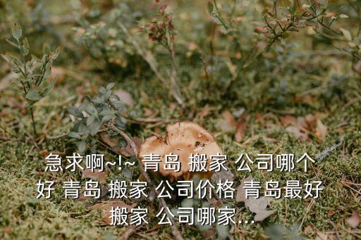 青岛搬家公司哪家专业,昆明的搬家公司哪家最专业?