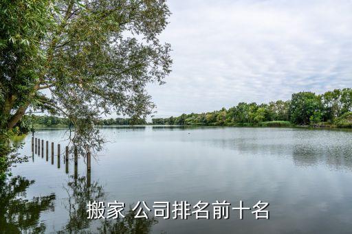  搬家 公司排名前十名