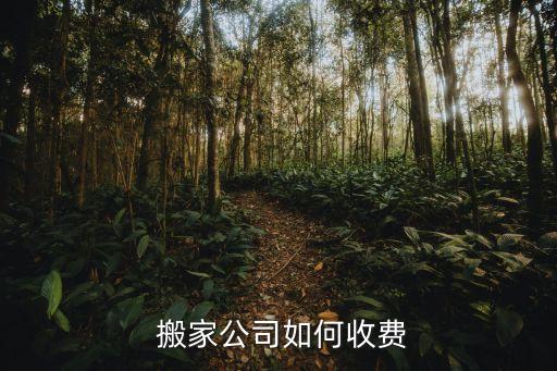 搬家车一趟多少钱一天,小型搬家叫车多少钱