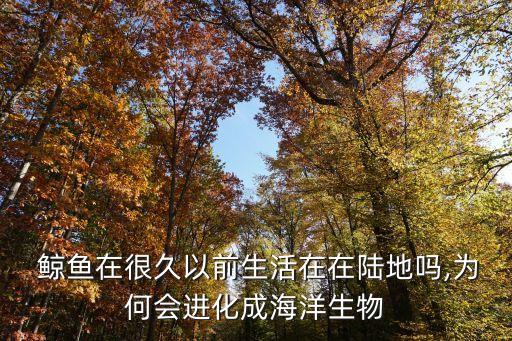 鲸鱼迁徙的主要原因,丹顶鹤迁徙的主要原因是什么