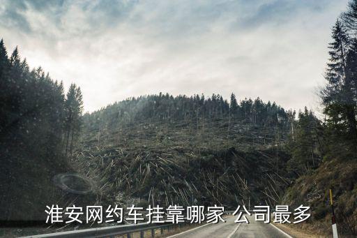 北京蓝海有限责任公司,内蒙古蓝海矿泉水有限责任公司