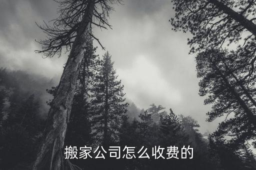 租搬家车一天多少钱正常,搬家工人工资一天多少