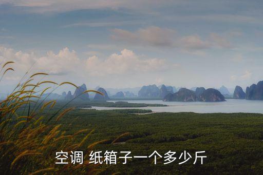 空调 纸箱子一个多少斤