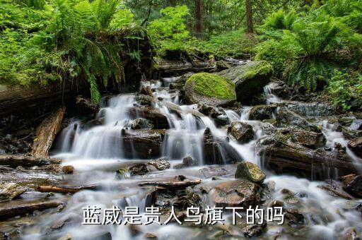 蓝威男装品牌怎么样,蓝威诺男装品牌简介