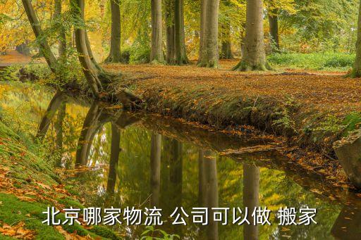 北京哪家物流 公司可以做 搬家