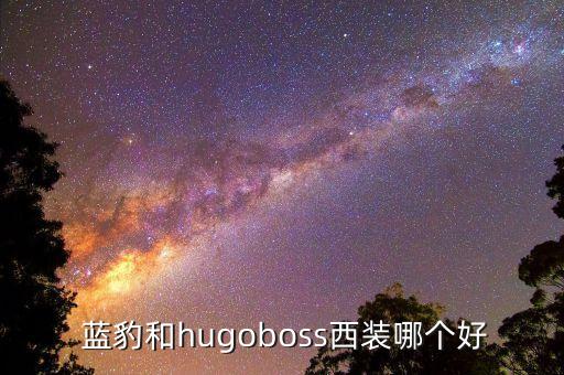  蓝豹和hugoboss西装哪个好