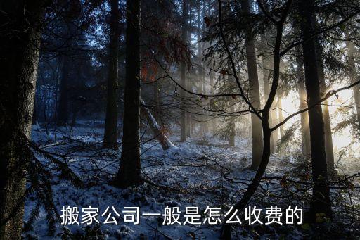 搬家公司一般是怎么收费的