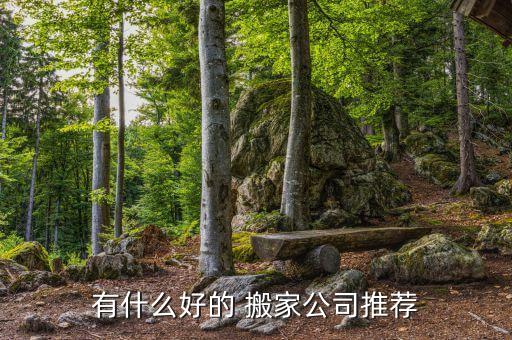 有什么好的 搬家公司推荐