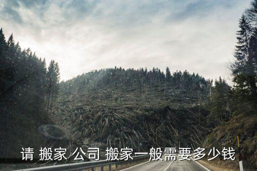 私人搬家公司收费方式有哪些,北京搬家公司收费标准及收费方式