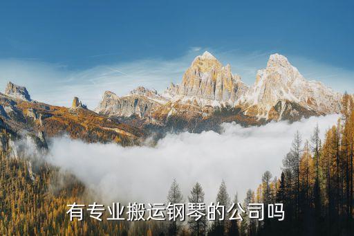 有专业搬运钢琴的公司吗