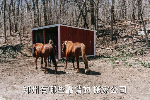郑州有哪些靠谱的 搬家公司
