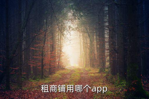 租商铺用哪个app