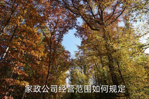  家政公司经营范围如何规定