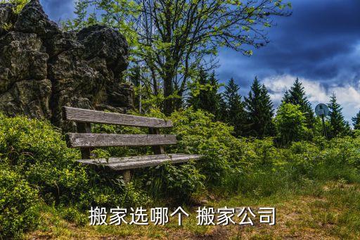  搬家选哪个 搬家公司