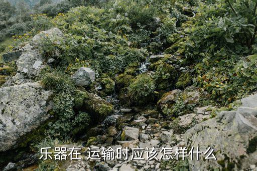 钢琴如何运输到外地,钢琴托运到另一个城市 多少钱
