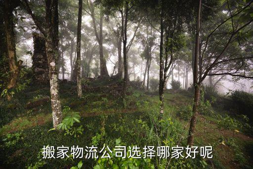  搬家物流公司选择哪家好呢