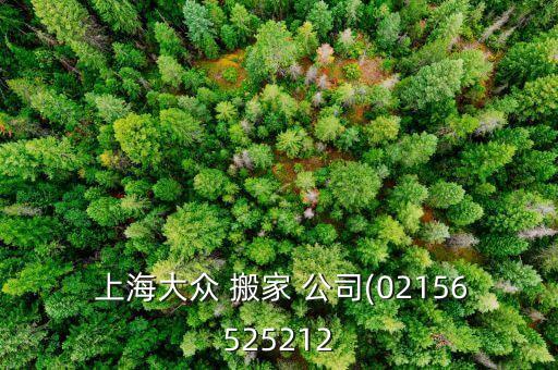  上海大众 搬家 公司(02156525212