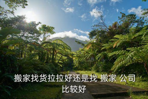  搬家找货拉拉好还是找 搬家 公司比较好