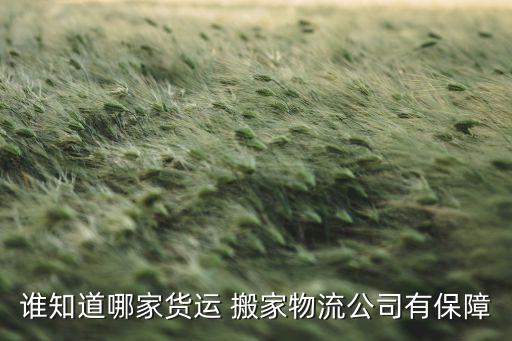 谁知道哪家货运 搬家物流公司有保障