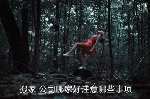  搬家 公司哪家好注意哪些事项