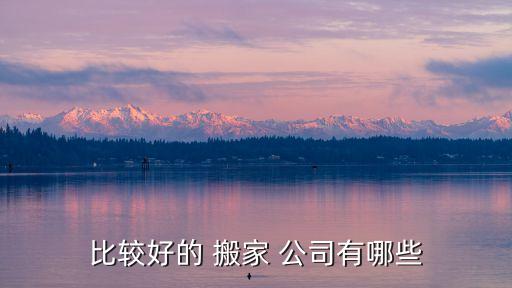 比较好的 搬家 公司有哪些