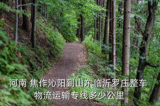 河南 焦作沁阳到山东临沂罗庄整车 物流运输专线多少公里