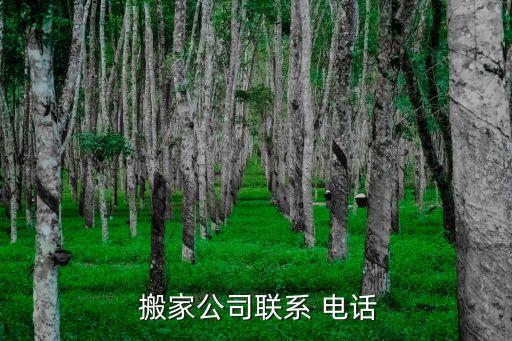 仁怀搬家保洁电话多少号