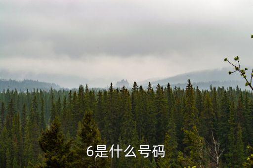 6是什么号码