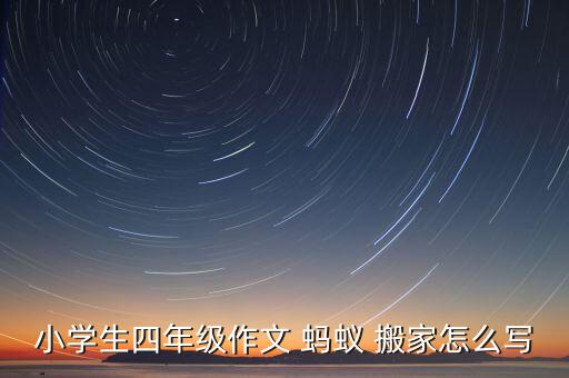 蚂蚁搬家的发现410字,我发现了蚂蚁搬家的秘密