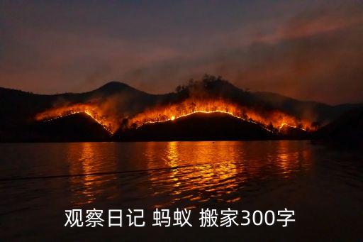观察日记 蚂蚁 搬家300字