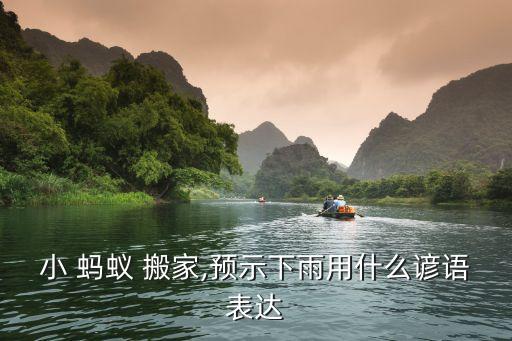 小 蚂蚁 搬家,预示下雨用什么谚语表达