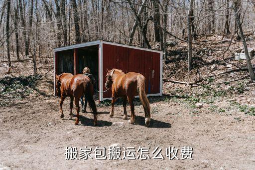  搬家包搬运怎么收费