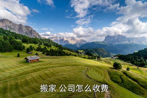  搬家 公司怎么收费