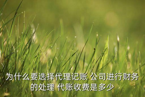 为什么要选择代理记账 公司进行财务的处理 代账收费是多少