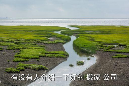 有没有人介绍一下好的 搬家 公司