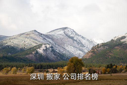 深圳龙岗大众搬家公司,大众为民搬家公司怎么样