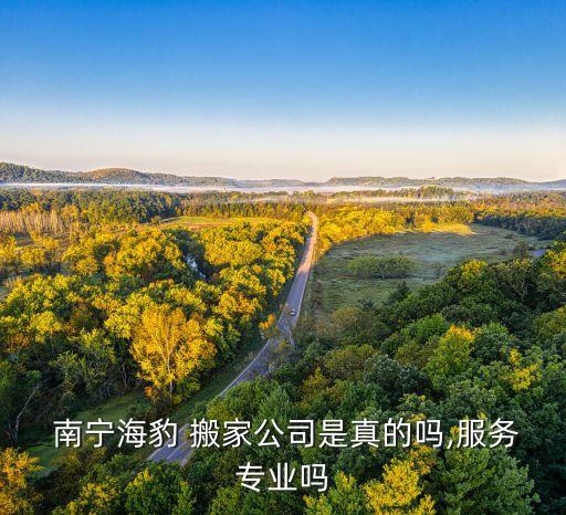  南宁海豹 搬家公司是真的吗,服务专业吗