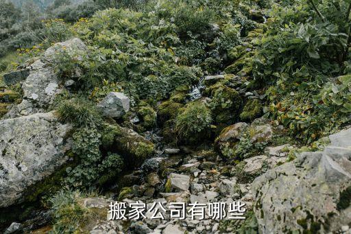 马鞍山搬家价位查询电话