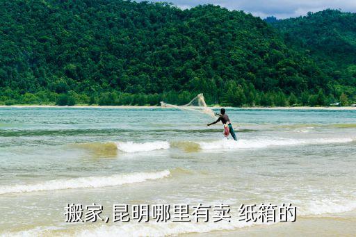  搬家,昆明哪里有卖 纸箱的
